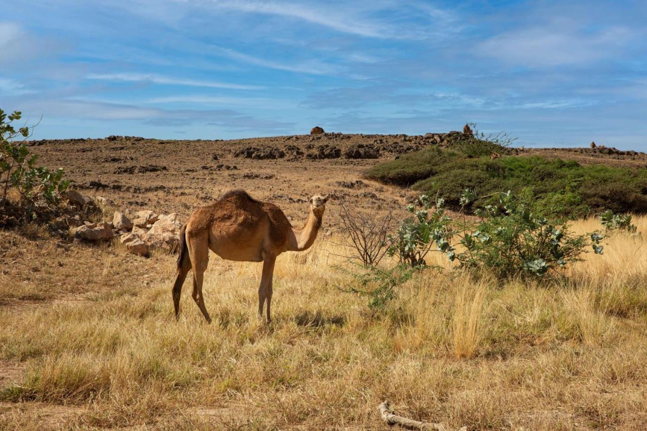 Hotel Alila Hinu Bay Salalah Mirbat Zewnętrze zdjęcie